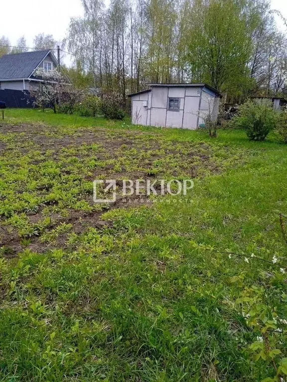 Участок в Костромская область, Костромской район, Бакшеевское с/пос, ... - Фото 2