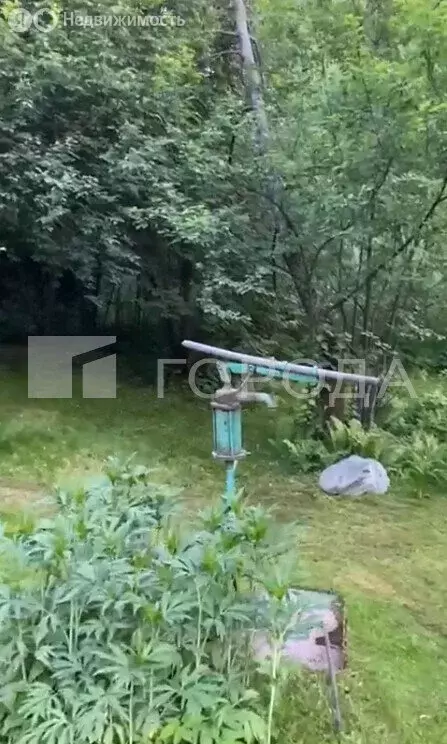 Дом в Тогучинский район, садовое товарищество Восход, улица Берёзовая ... - Фото 1