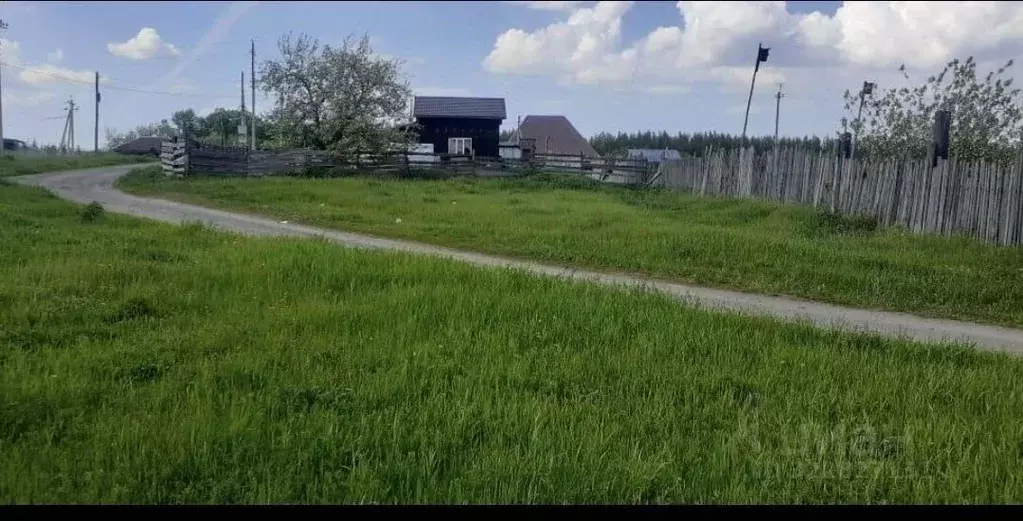 Участок в Алтайский край, Барнаул городской округ, пос. Мохнатушка  ... - Фото 1