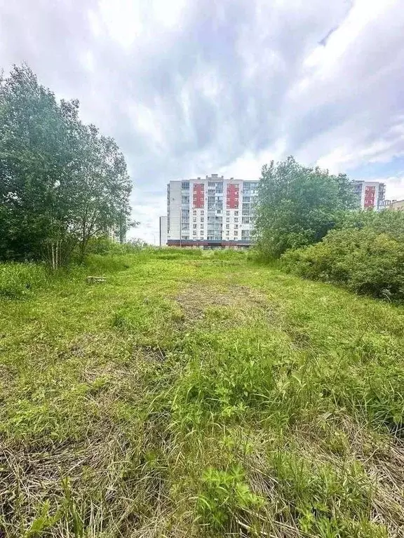 Участок в Новгородская область, Великий Новгород Золотая осень СТ, 6 ... - Фото 1