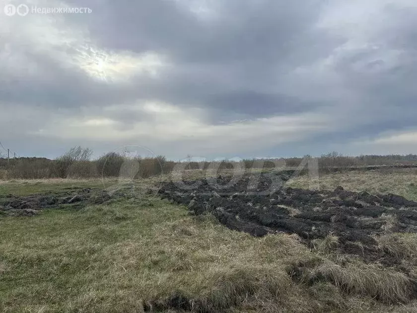 Участок в Тюменский район, деревня Нариманова (19 м) - Фото 0