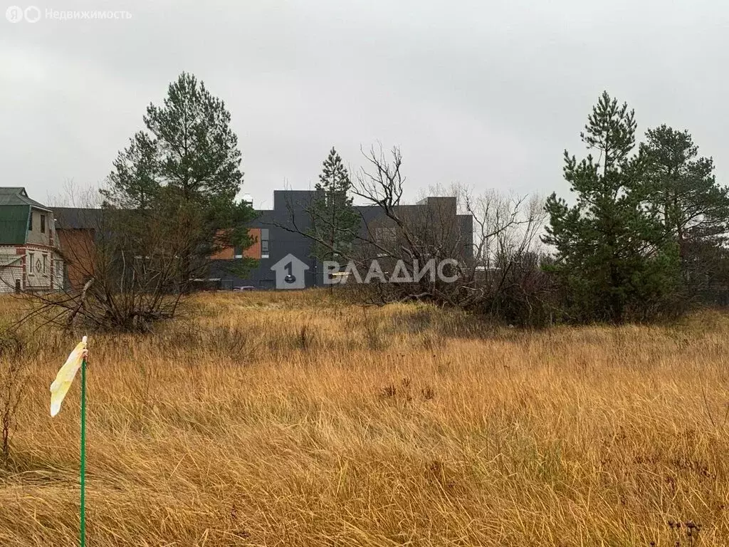 Участок в село Староживотинное, улица Артамонова, 74 (32.24 м) - Фото 1