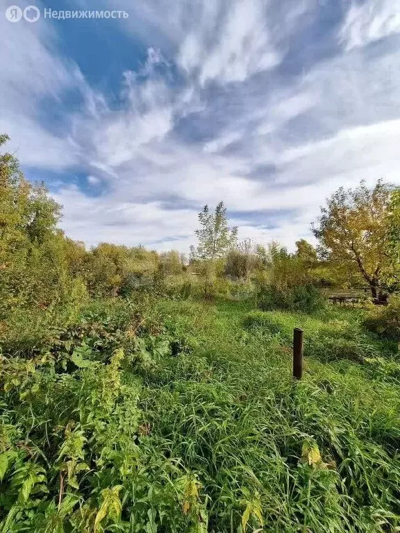 Участок в Томск, СТ Зайчик (10 м) - Фото 2