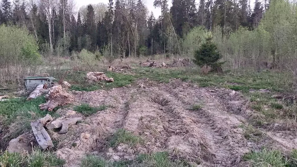 Участок в Ленинградская область, Ломоносовский район, Лопухинское ... - Фото 1