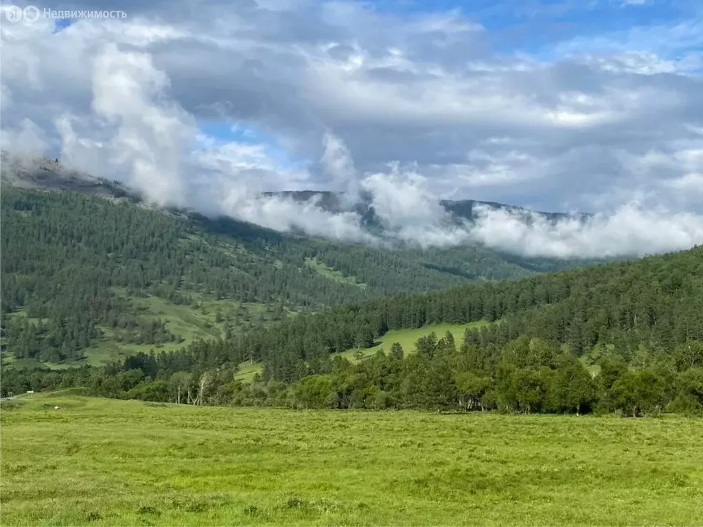 Участок в Шебалинский район, село Мыюта (15 м) - Фото 2