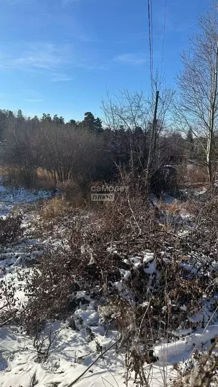 Участок в Иркутская область, Иркутский муниципальный округ, Голубые ... - Фото 2