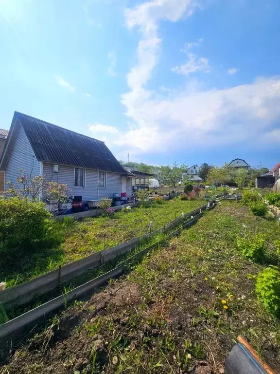 Участок в Приморский край, Находка Зеленый сад СНТ, ул. Садовое ... - Фото 1