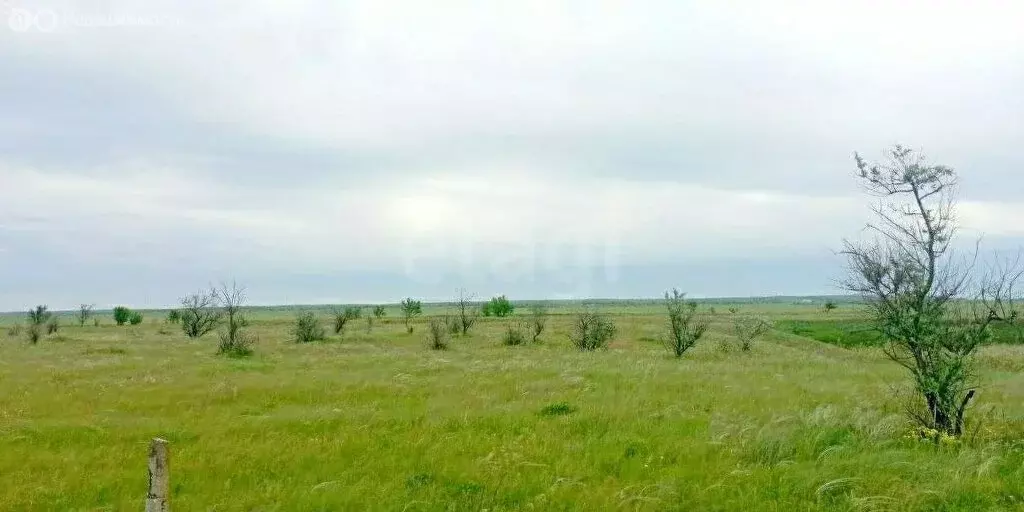 Участок в Луговое, Шоссейная улица, 6 (450.56 м) - Фото 2