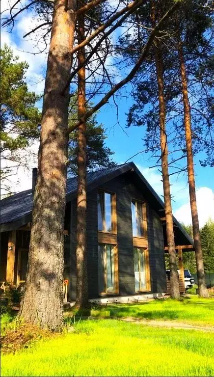 Дом в Ленинградская область, Гатчинский район, Дружная Горка городской ... - Фото 1