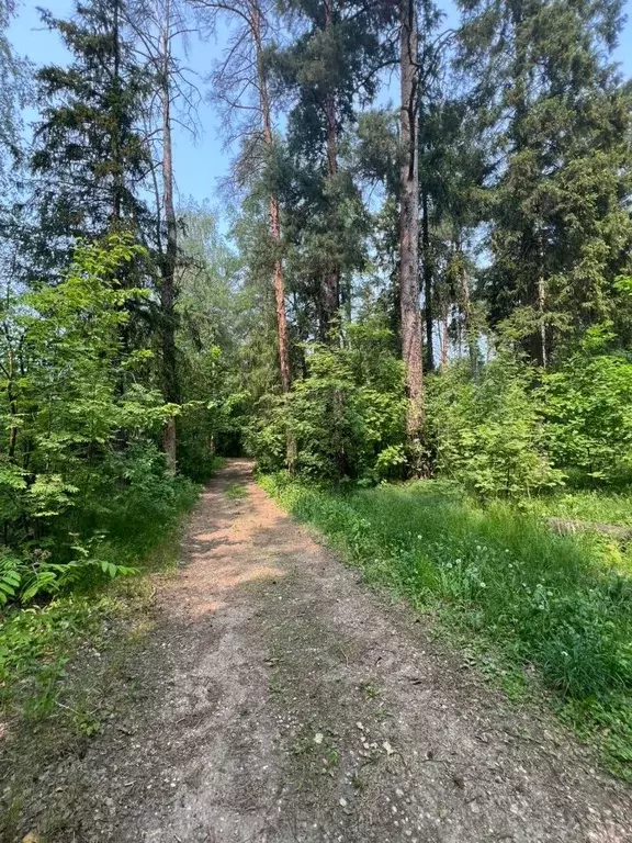 Участок в Московская область, Королев Первомайский мкр,  (19.0 сот.) - Фото 0