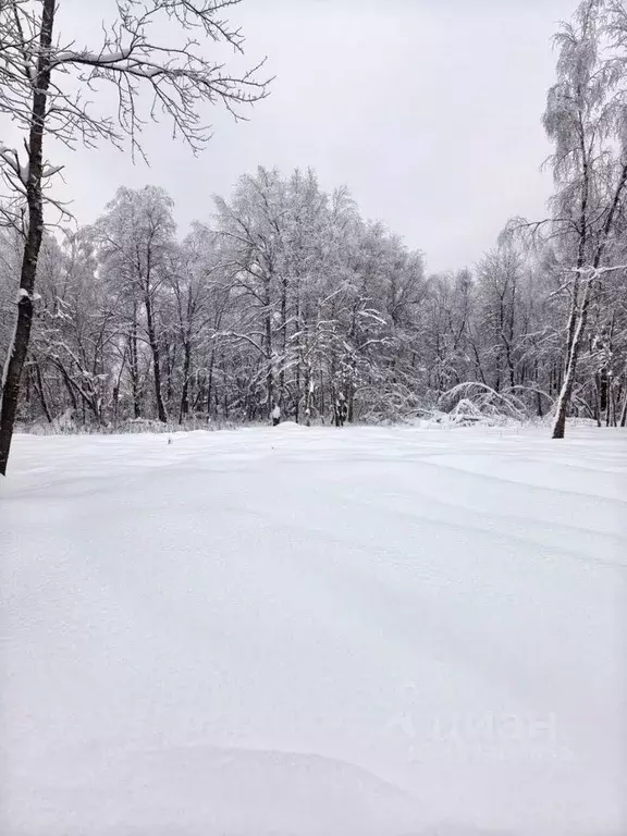 Участок в Московская область, Истра муниципальный округ, с. ... - Фото 2