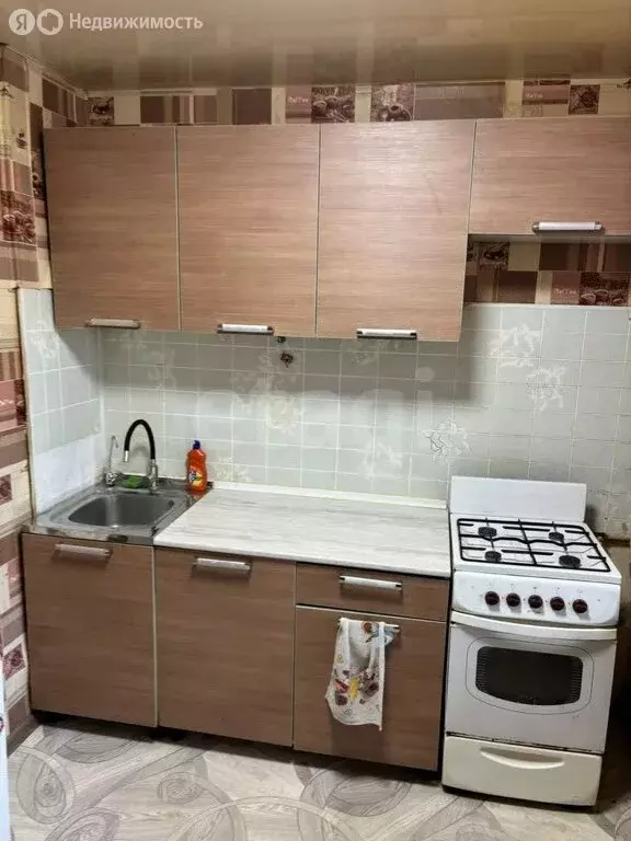 1-комнатная квартира: Череповец, улица Наседкина, 11 (28.3 м) - Фото 1