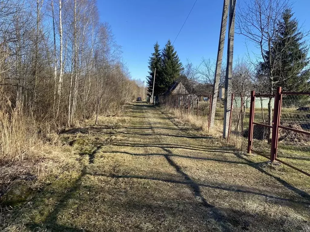 Участок в Псковская область, Псковский район, Торошинская волость, ... - Фото 2