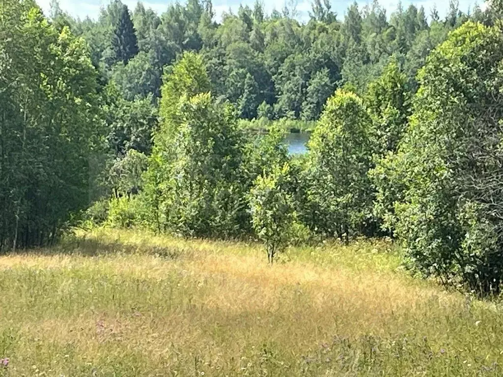 Участок в Новгородская область, Окуловка Славная ул., 26 (302.1 сот.) - Фото 1