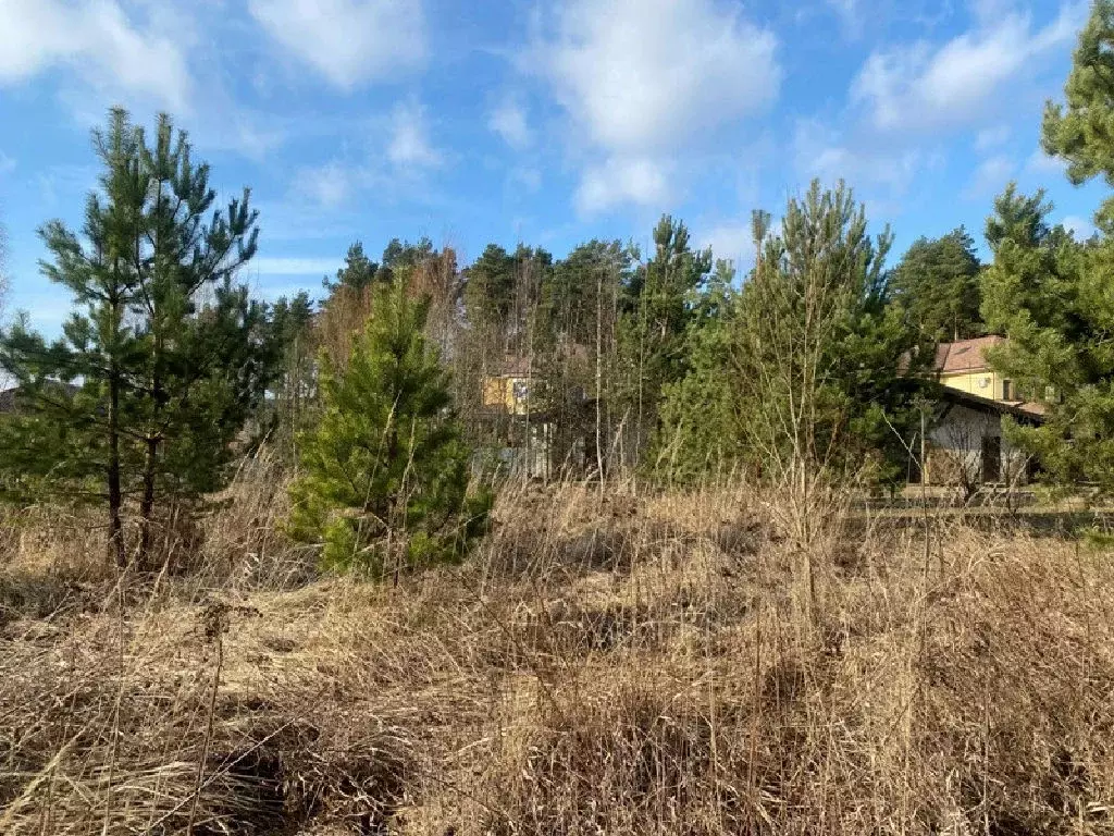 Продается участок в д. Старково - Фото 0