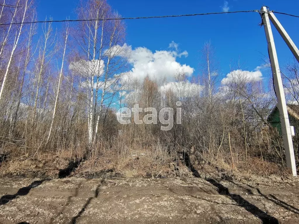 Погост лука Вологодская область