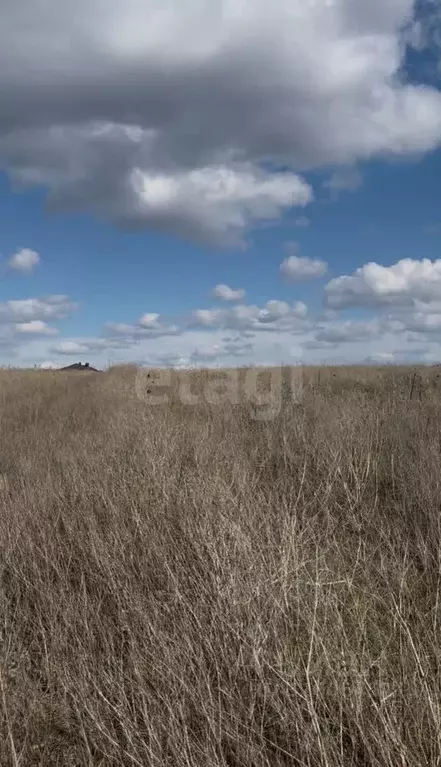 Участок в Ростовская область, Аксайский район, Щепкинское с/пос, пос. ... - Фото 1