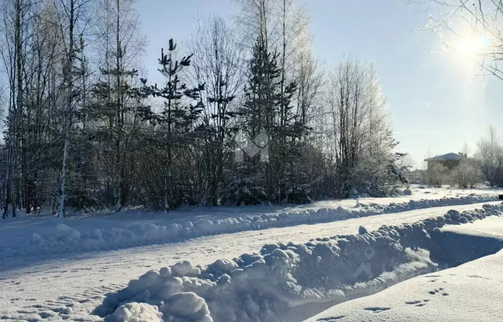 Участок в Ленинградская область, Всеволожск ул. Анатолия Молчанова ... - Фото 1