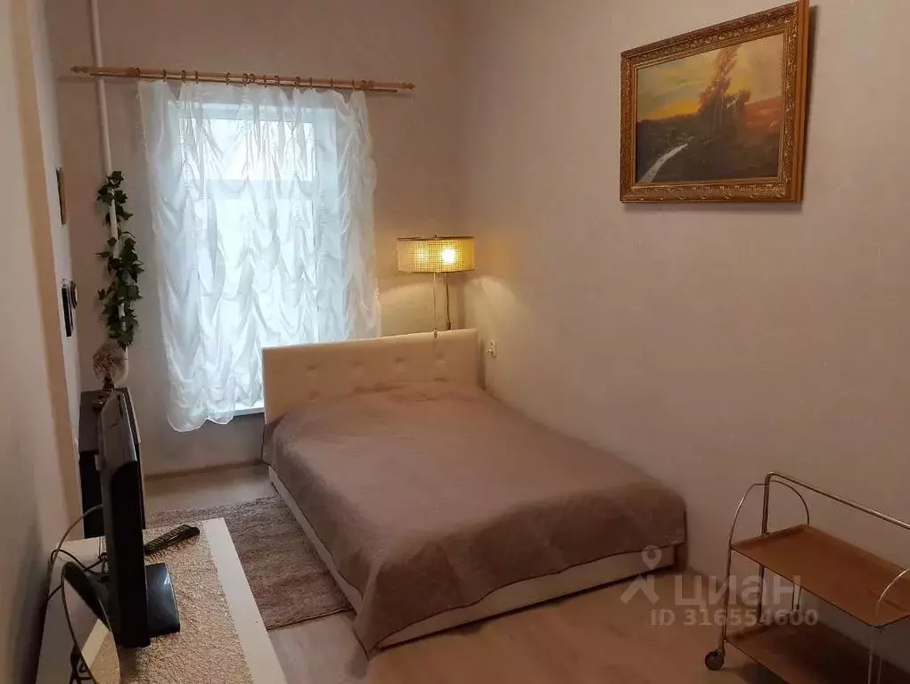 1-к кв. Санкт-Петербург Невский просп., 66 (31.0 м) - Фото 0