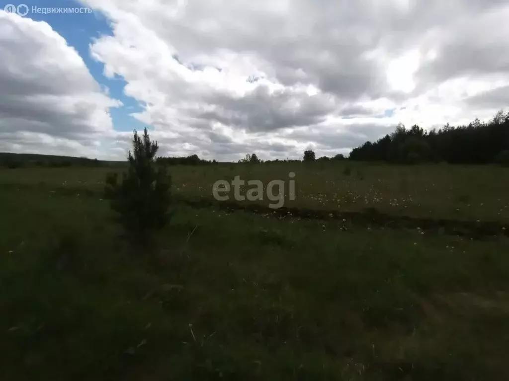 Участок в Свердловская область, село Кайгородское (20 м) - Фото 0