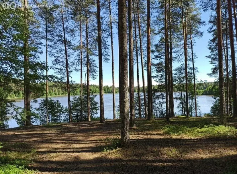 Дом в городской посёлок Рощино, Ладожская улица, 6/1 (200 м) - Фото 1