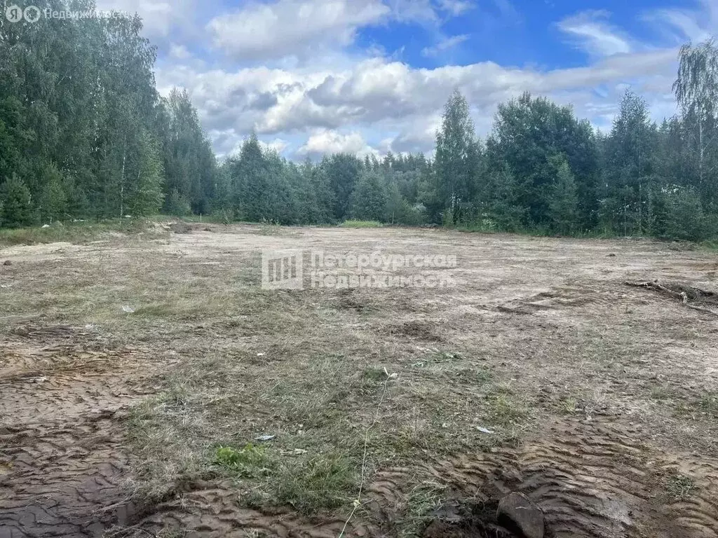 Участок в Выборгский район, Рощинское городское поселение, ... - Фото 1