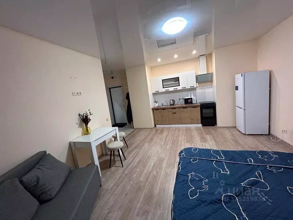 Студия Московская область, Балашиха ул. Романычева, 3 (30.0 м) - Фото 1