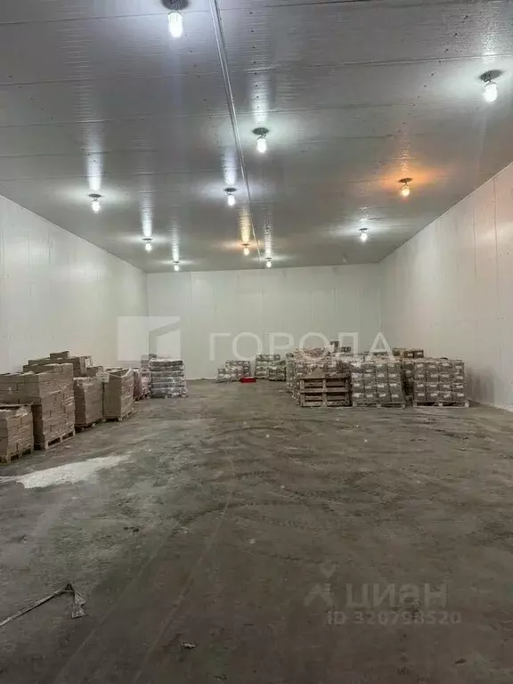 Склад в Новосибирская область, Новосибирск ул. Аксенова, 32 (250 м) - Фото 2