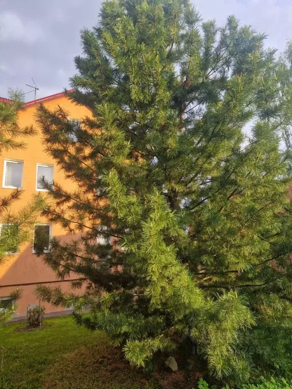 Коттедж в Пермский край, пос. Протасы, 2-й кв-л 8 (313 м) - Фото 0