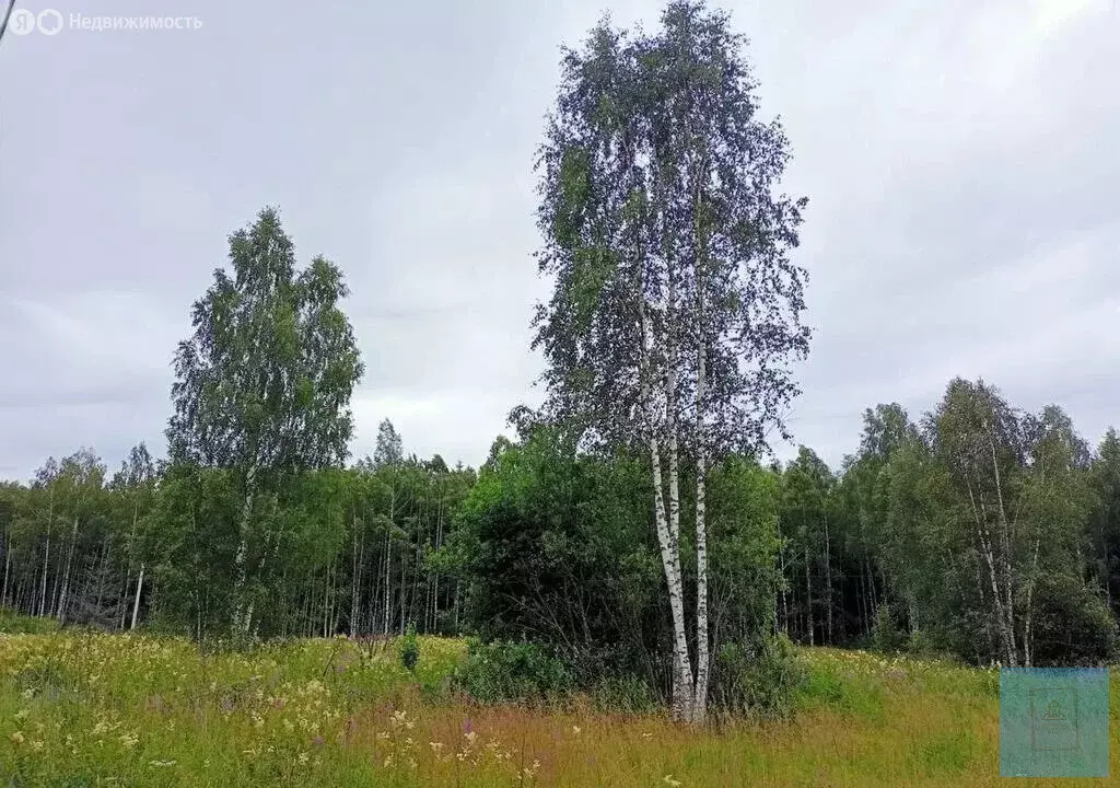 Участок в Московская область, городской округ Солнечногорск, деревня ... - Фото 0