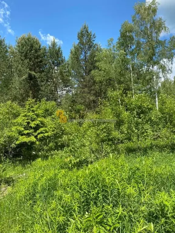 Участок в Калужская область, Калуга городской округ, д. Лихун ул. ... - Фото 2