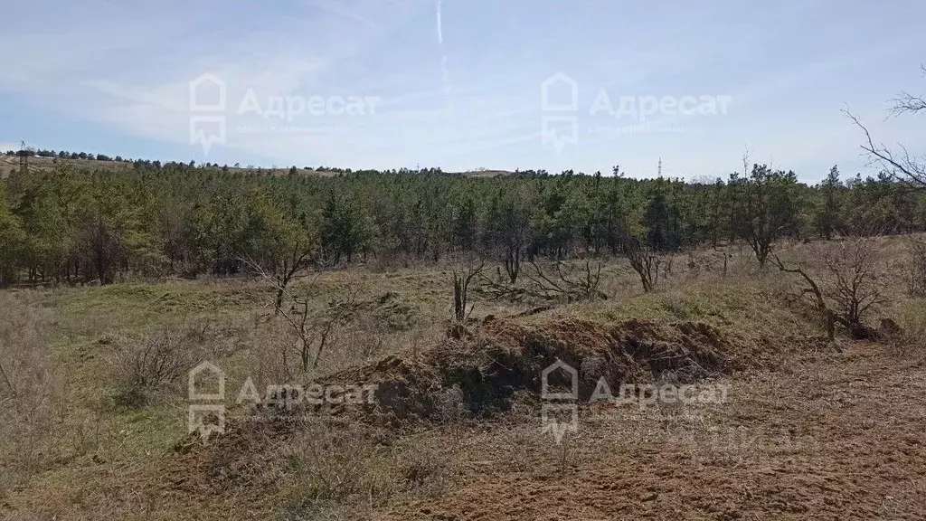 Участок в Волгоградская область, Волгоград 7 кв-л,  (9.65 сот.) - Фото 1