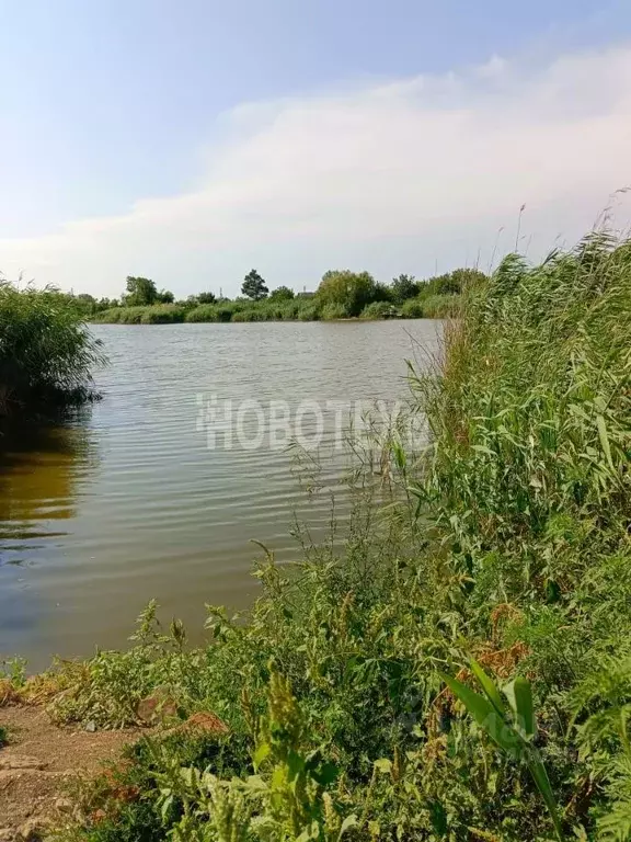 Участок в Краснодарский край, Каневское с/пос, Бурсаки хут.  (40.54 ... - Фото 2