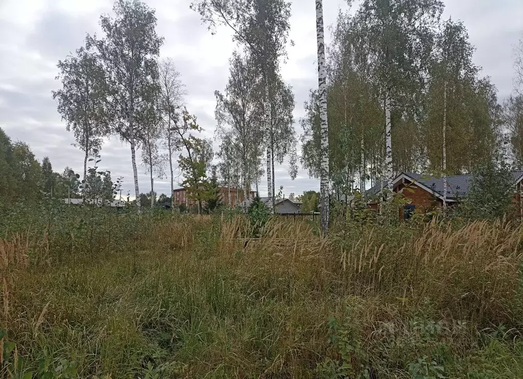 Участок в Тверская область, Конаковский муниципальный округ, д. ... - Фото 2
