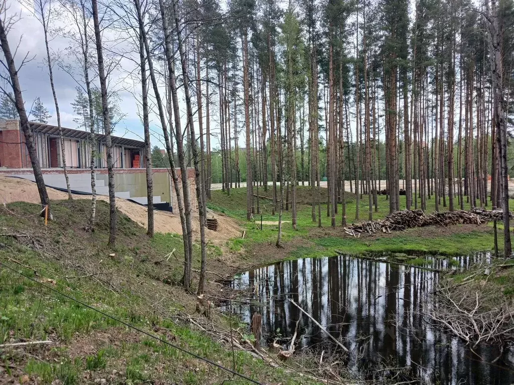 Участок в Ленинградская область, Всеволожский район, Бугровское ... - Фото 1