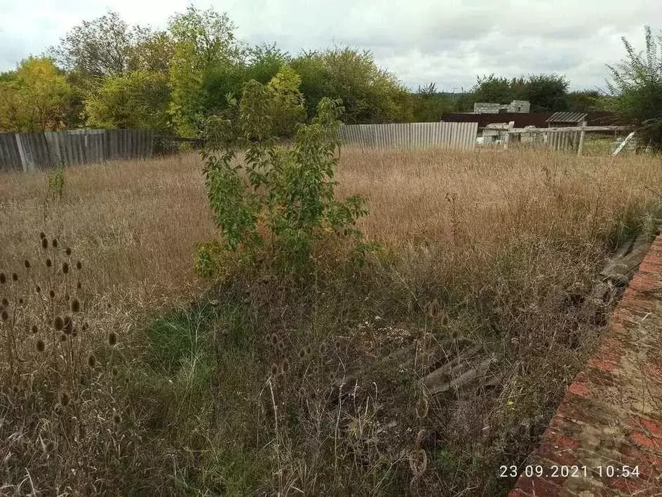 Участок в Белгородская область, Белгородский муниципальный округ, с. ... - Фото 2