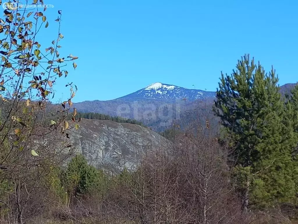 Участок в Чемальский район, село Анос (15.68 м) - Фото 0