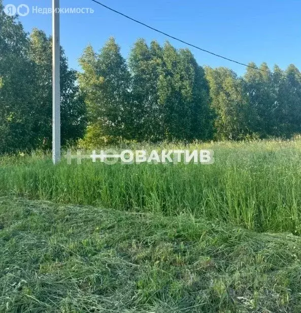 Участок в Садовый, ДНТ Витязь, 66 (7.25 м) - Фото 1