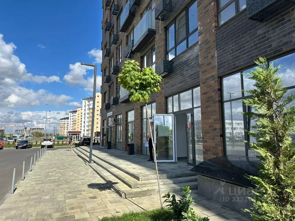 Помещение свободного назначения в Адыгея, Майкоп Степная ул., 2лит1 ... - Фото 2