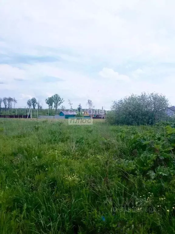 Участок в Московская область, Щелково городской округ, Петровский ... - Фото 0