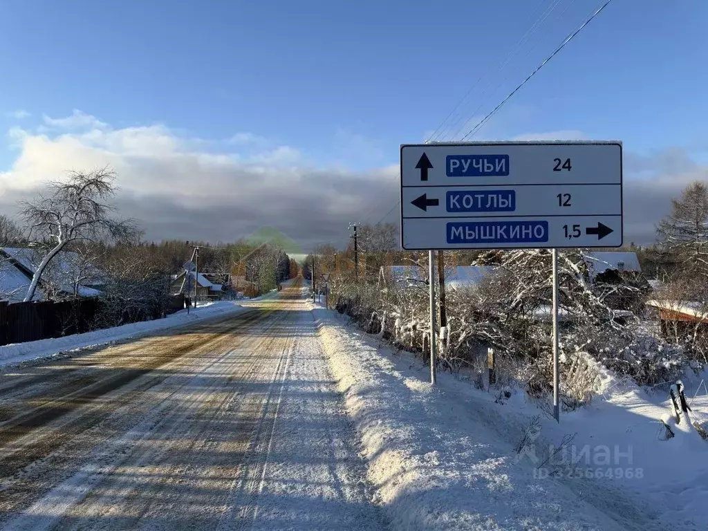 Участок в Ленинградская область, Кингисеппский район, Нежновское ... - Фото 1