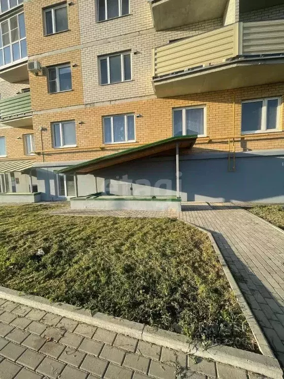 Помещение свободного назначения в Псковская область, Псковский район, ... - Фото 1