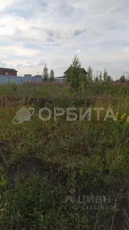 Участок в Тюменская область, Тюменский муниципальный округ, с. Кулига ... - Фото 1