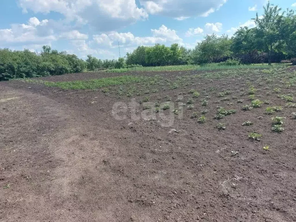 Участок в Белгородская область, Корочанский муниципальный округ, ... - Фото 1