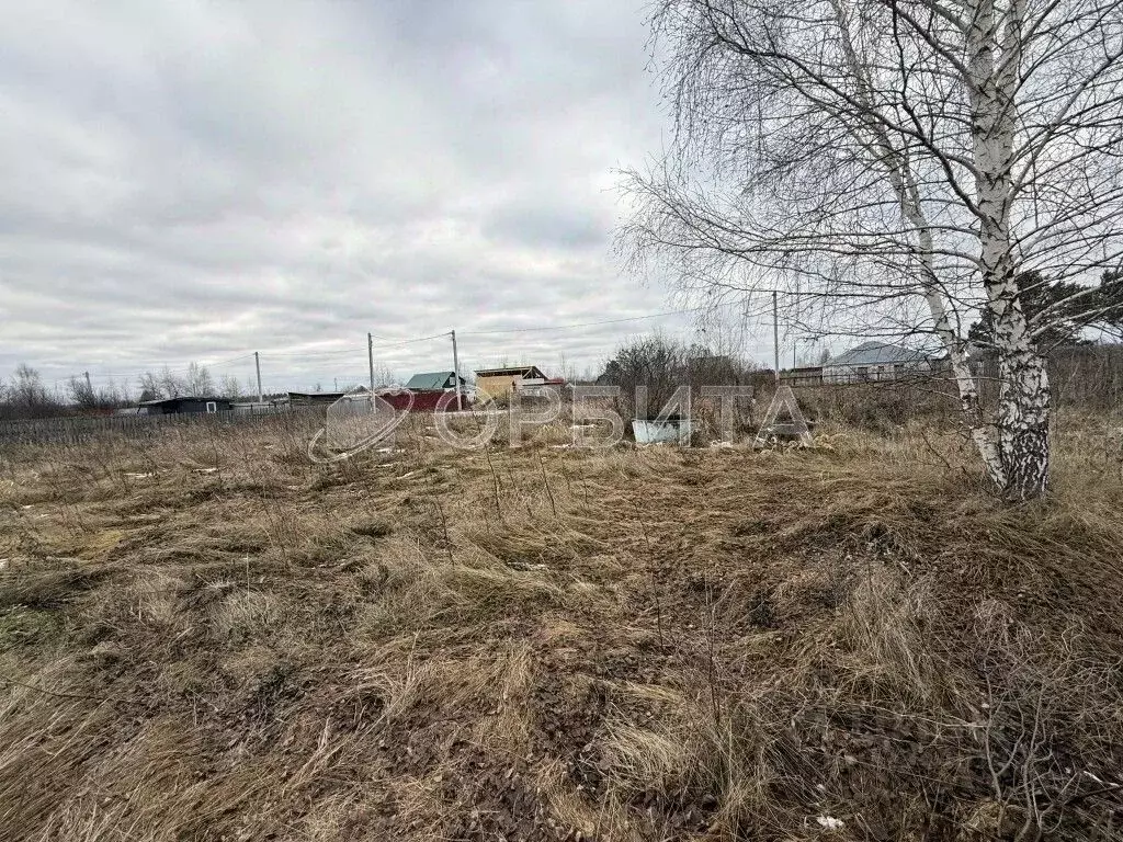 Участок в Тюменская область, Тюменский муниципальный округ, ... - Фото 1