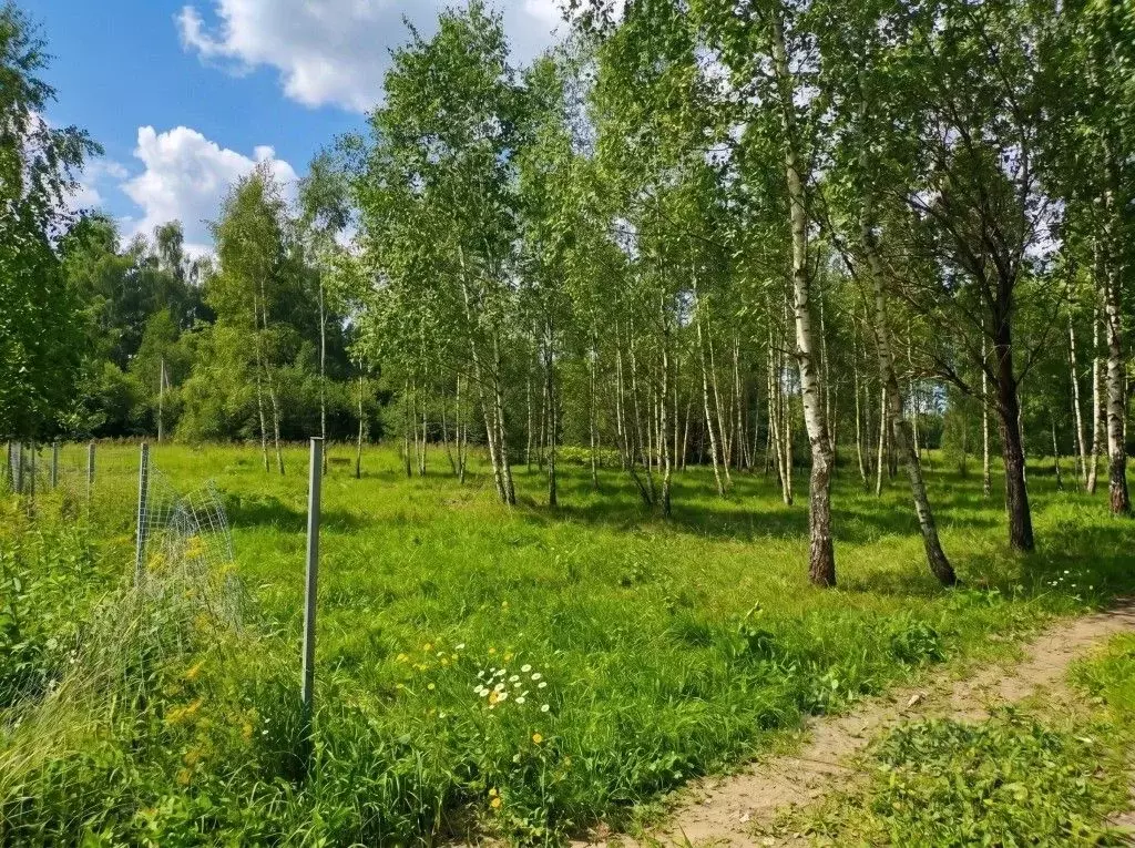Участок в Московская область, Руза Прирецкая ул. (10.0 сот.) - Фото 1