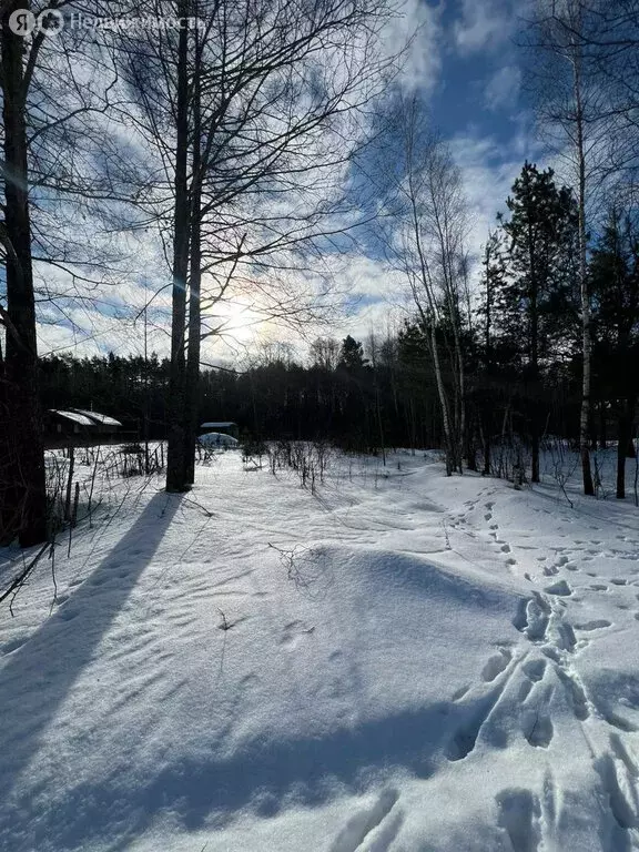 Участок в Брянск, посёлок Антоновка (23 м) - Фото 1