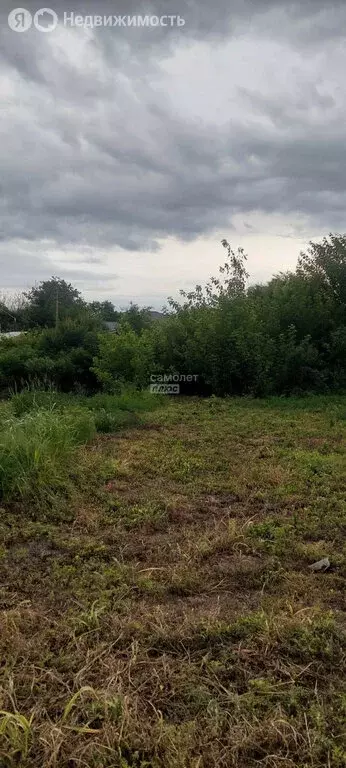 Участок в Успенский район, Вольненское сельское поселение, посёлок ... - Фото 1