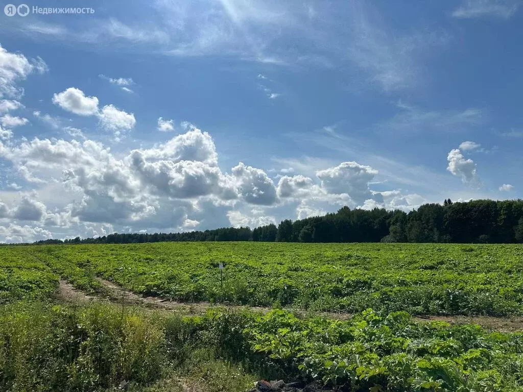 Участок в Московская область, городской округ Клин, коттеджный поселок ... - Фото 1