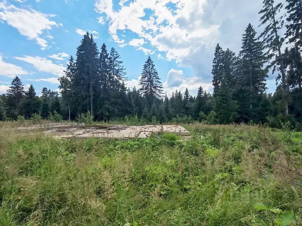 Участок в Московская область, Одинцовский городской округ, д. ... - Фото 1